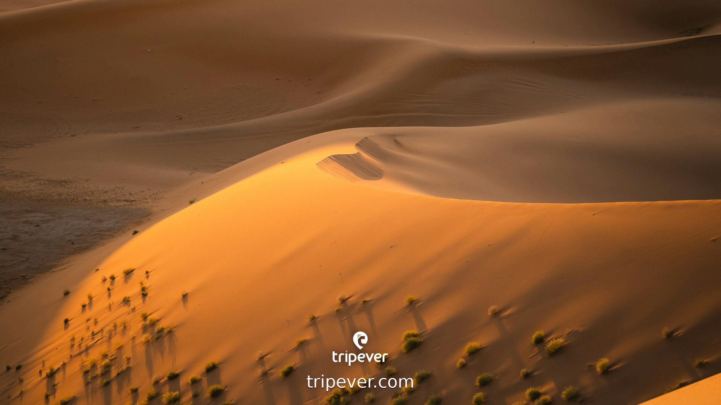 Golden sunlight bathes the vast desert sand dunes. photo ...