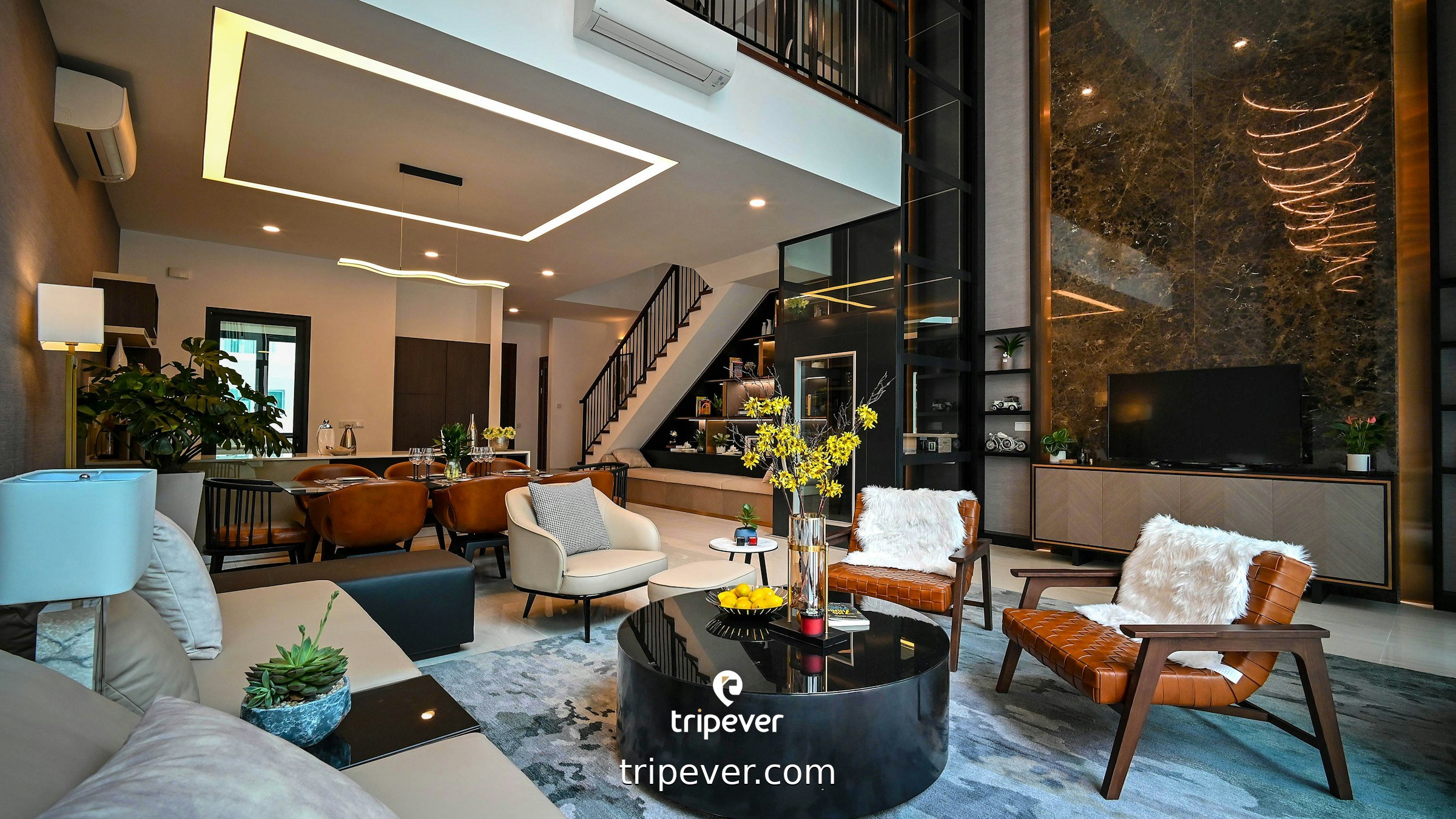Hotel Interior Pictures